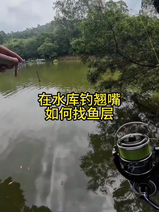 水库钓翘嘴必看，一招教你快速定位鱼层，鱼获直接翻倍