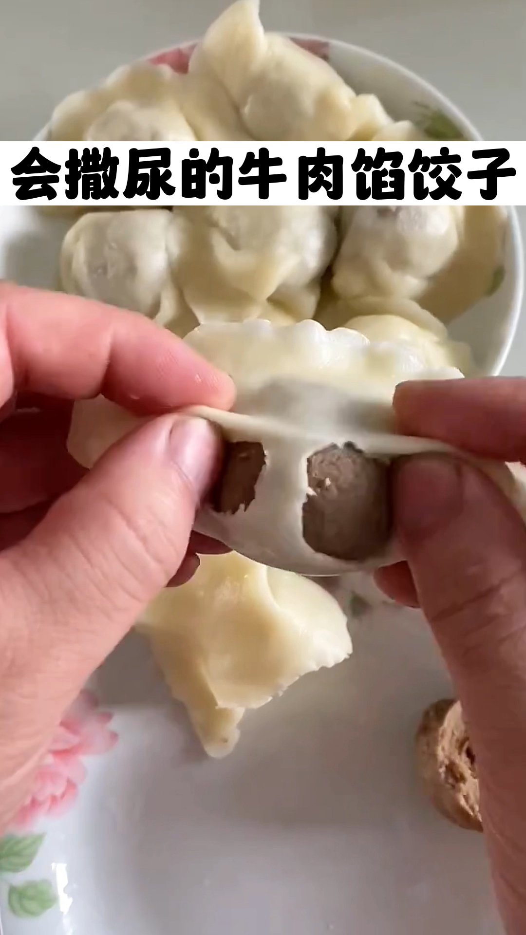 这就是最正宗的牛肉馅饺子