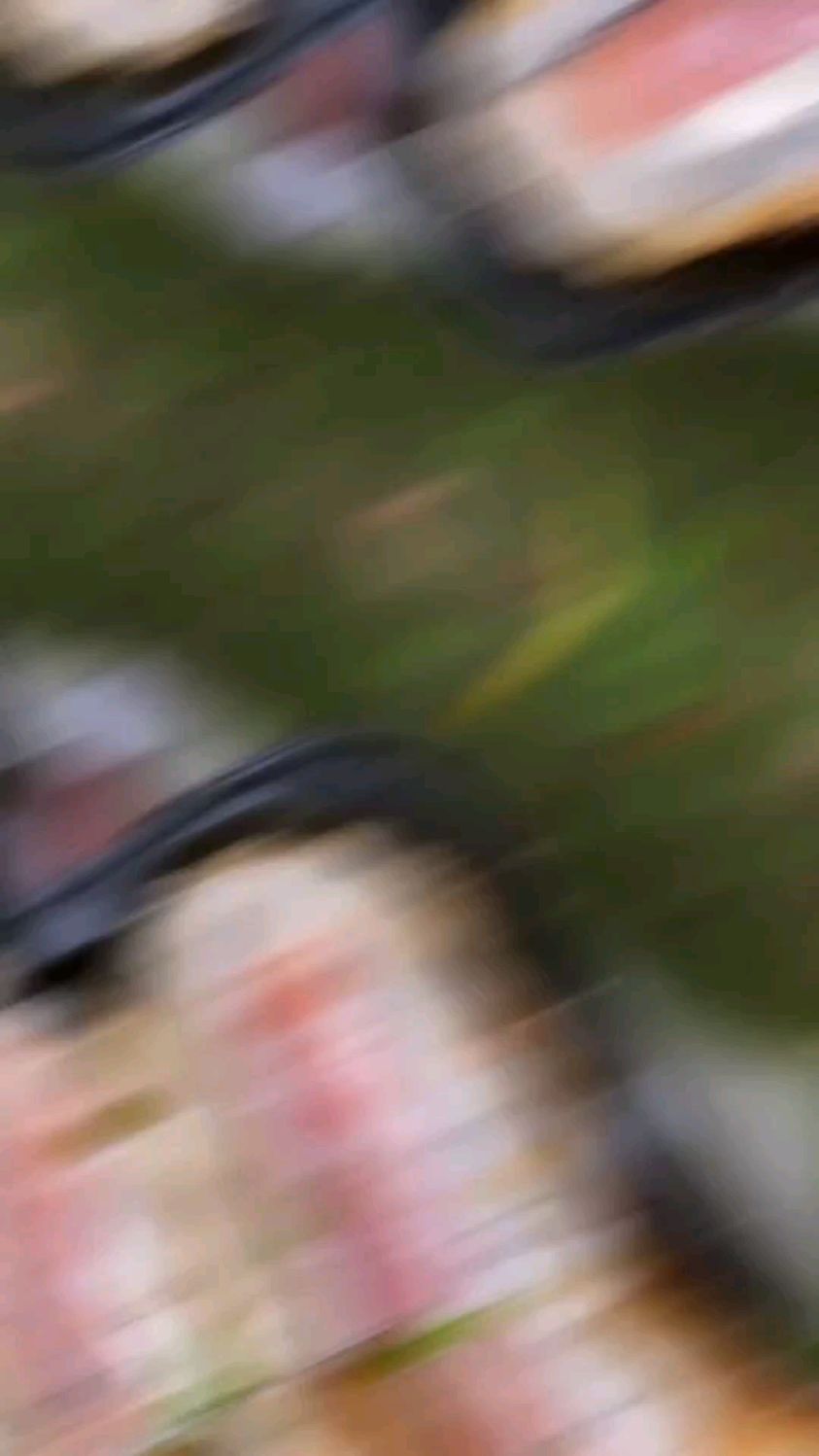 三文鱼饭团紫菜沙拉寿司,尝过之后,你绝对不想再吃别的!