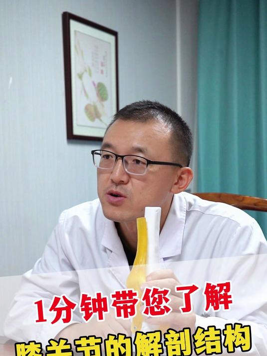 一分钟带您了解膝关节的解剖结构
