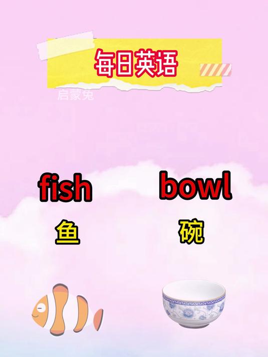 每日单词-鱼缸
