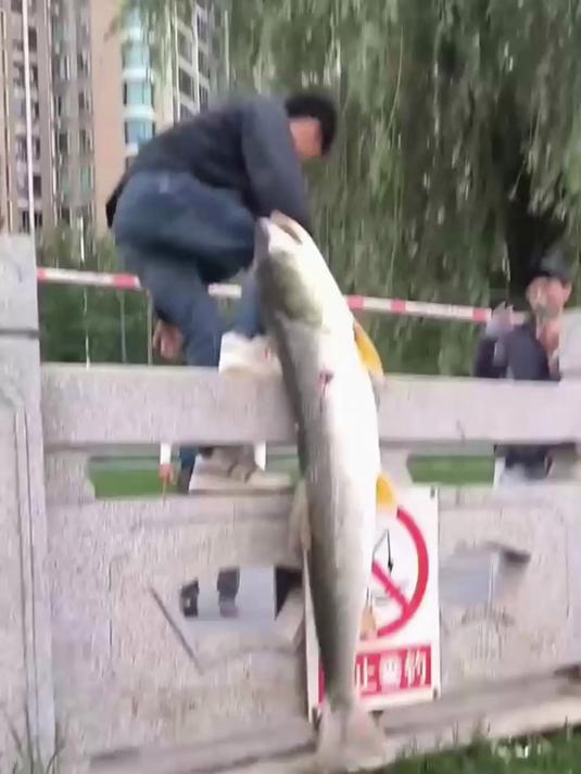 大哥去钓鱼!