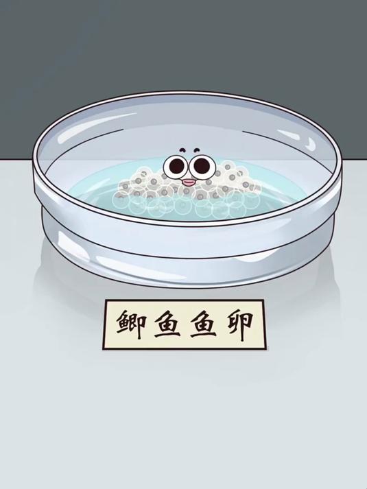 想吃这种无刺的鲫鱼不?