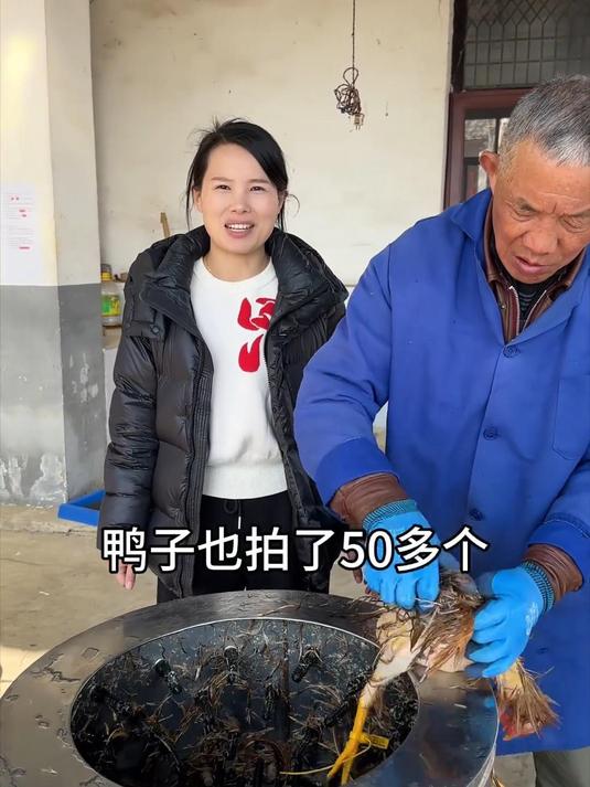 今天上午拍到咱们散养土鸡土鸭的姐妹们