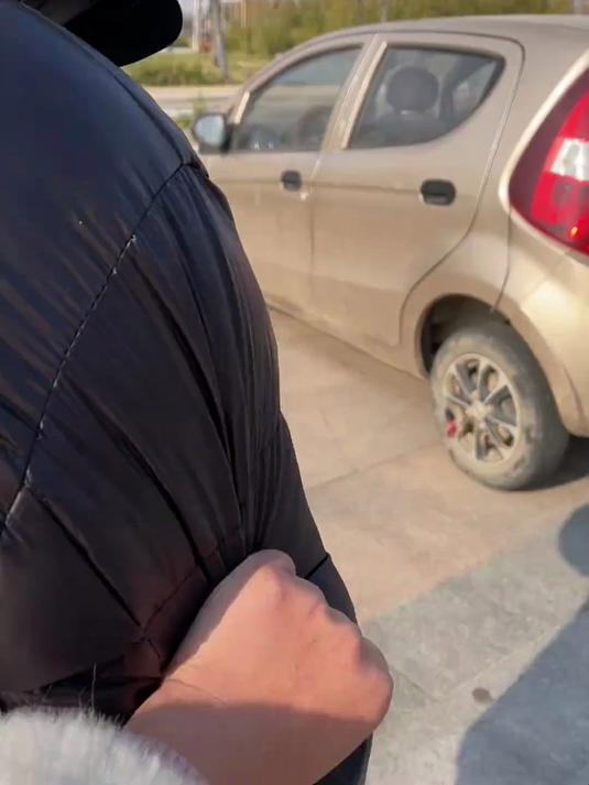 春天的第一鲜,这样做野生荠菜好香