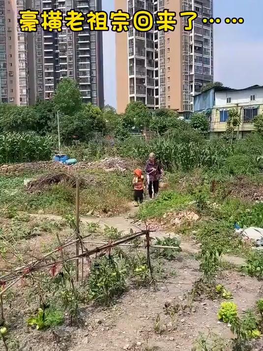  老太太你就可劲儿惯他吧！昨天买的鸡鸭还没啃完呢，今天又要吃鱼#优质视频激励计划#