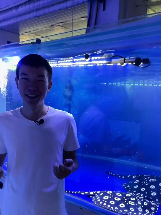 新生的皇冠，正确的处理方式