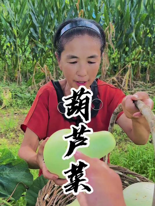 满族葫芦菜干,你吃过吗?