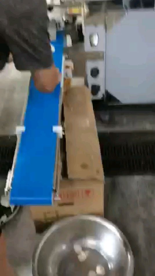 包子机全自动包子机视频