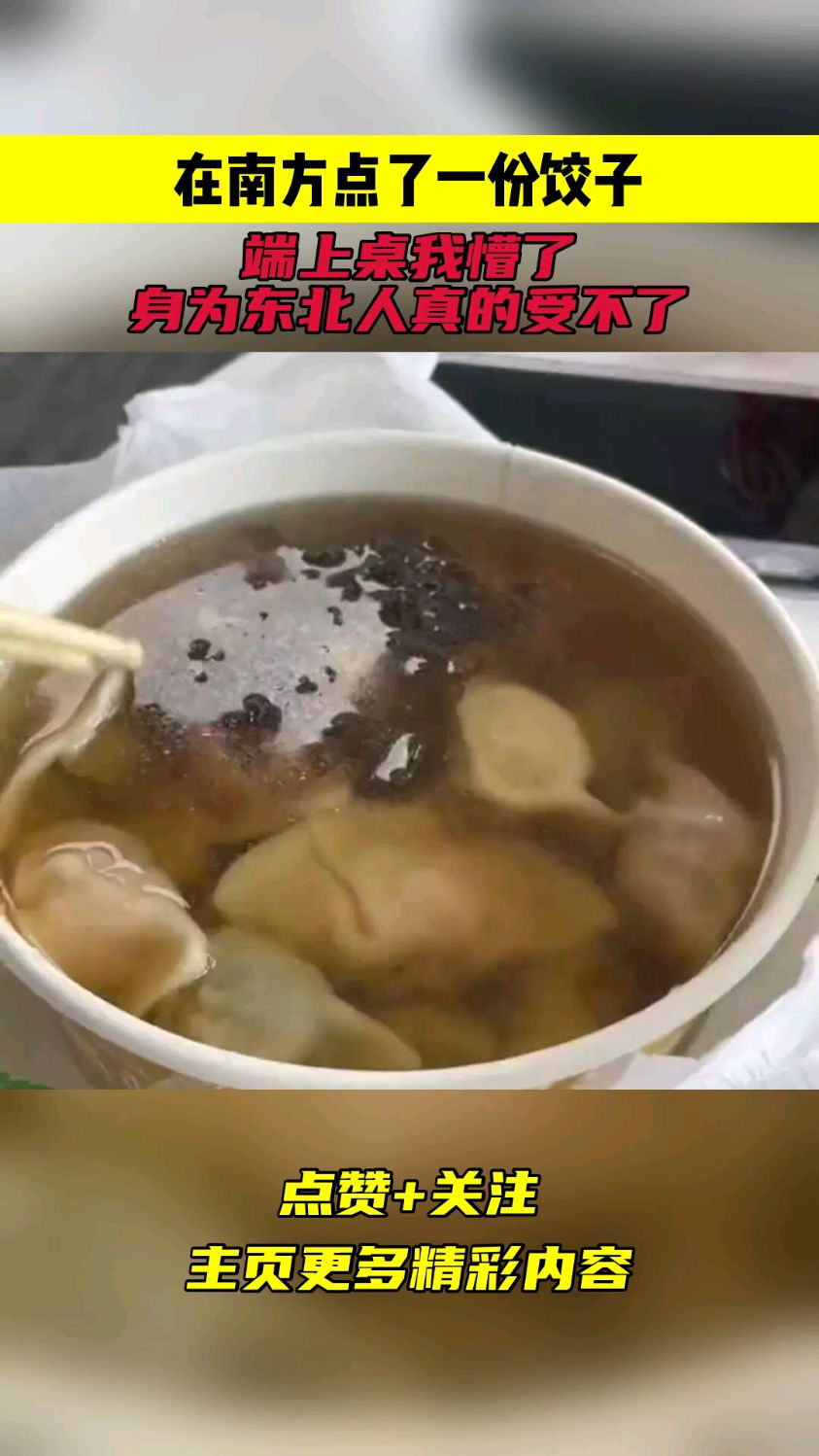 在南方点了一份饺子端上桌我懵了身为东北人真的受不了