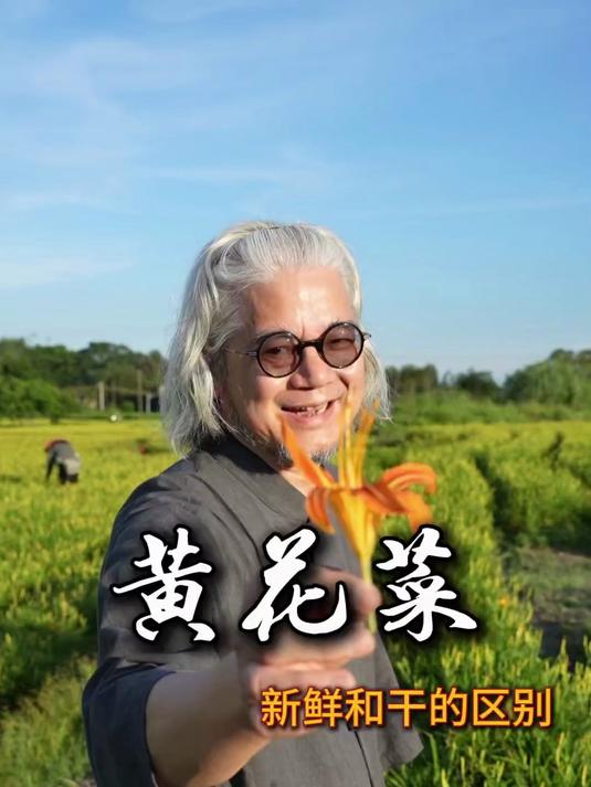 黄花菜,一种有毒的美食 #好好吃饭大赛 #虎噉金针