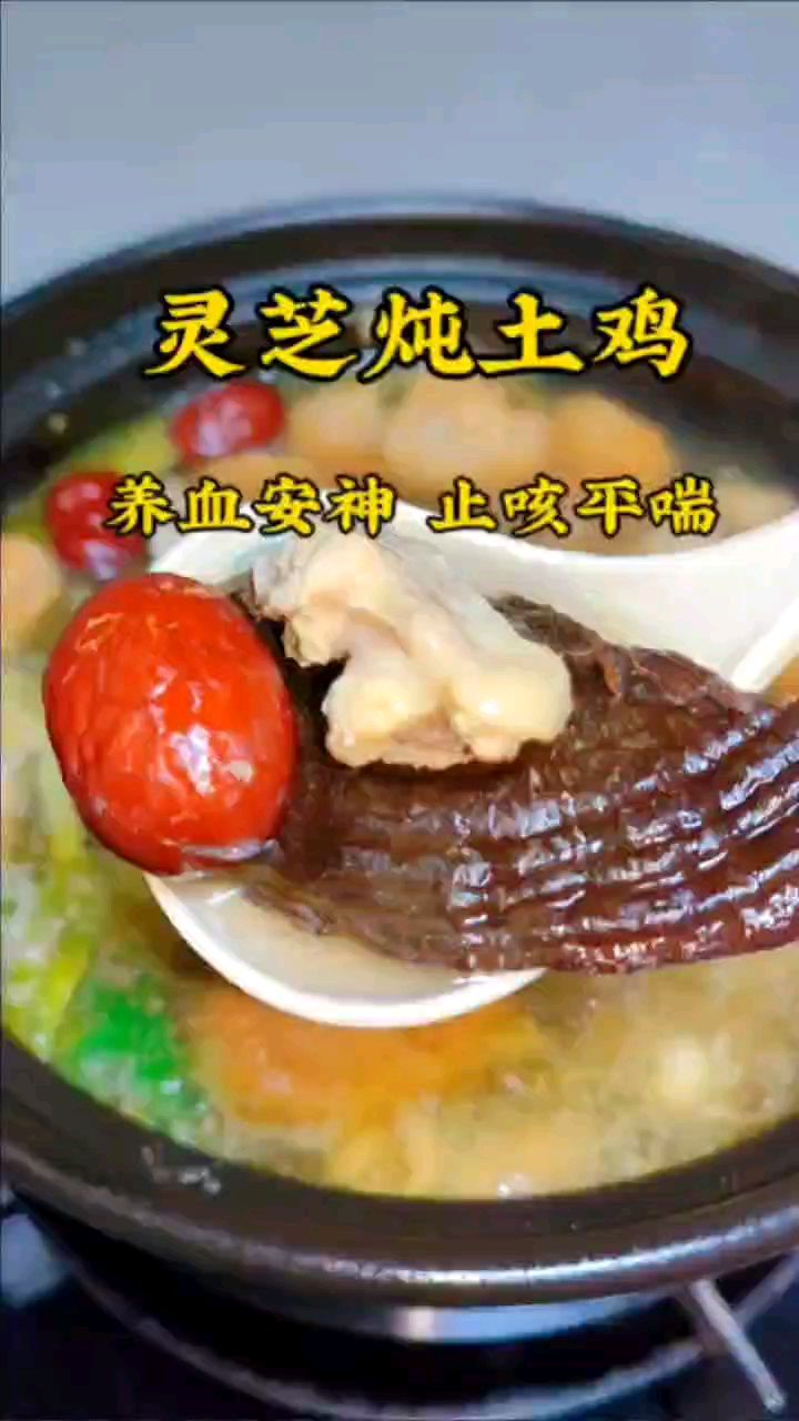 食疗养生菜-灵芝炖土鸡:含有多糖氨基酸、有养血安神止咳平喘、抑制癌细胞扩散再生功效