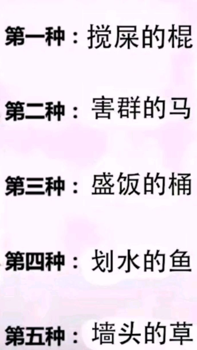 我算是划水的鱼吧