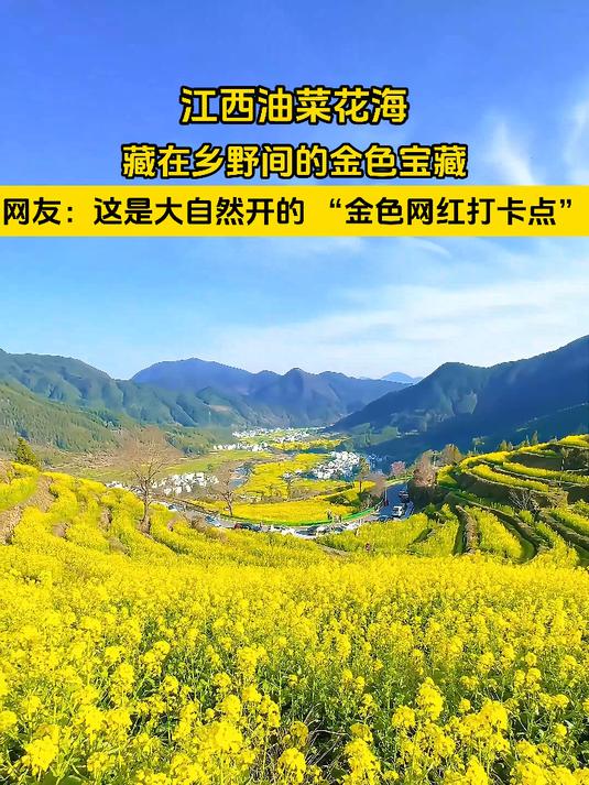 江西油菜花海,藏在乡野间的金色宝藏