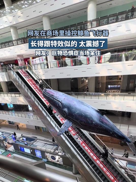 网友在商场里操控鲸鱼飞行器,长得跟特效似的,太震撼了