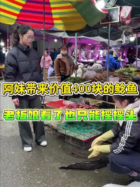 阿妹带来价值400块的鲶鱼 老板娘看了也只能摇摇头