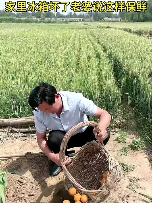 家里冰箱坏了,老婆说这样保鲜
