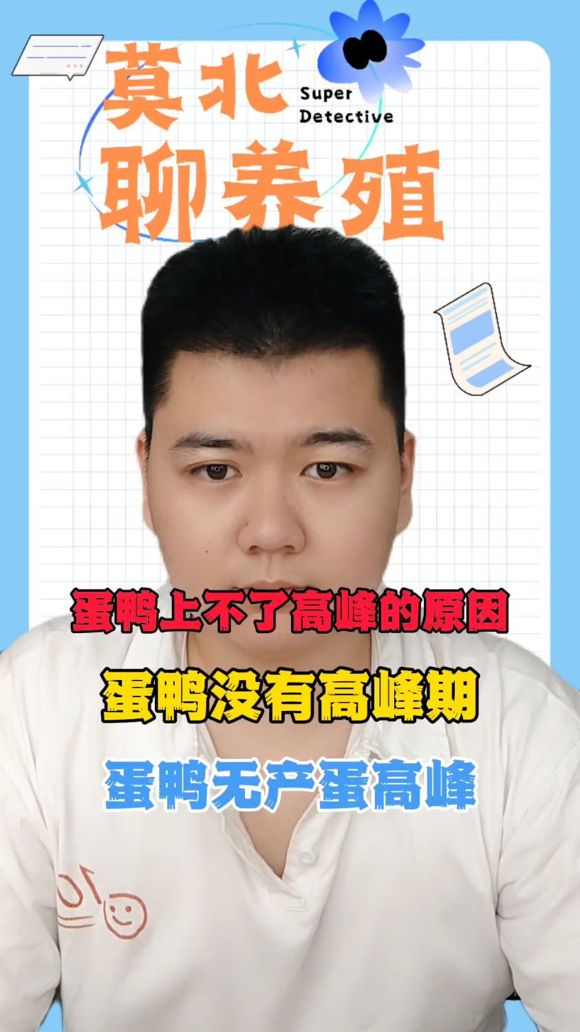 蛋鸭为啥老是上不去高峰蛋鸭产蛋高峰期一般是多久蛋鸭高峰期忽然减蛋怎么办