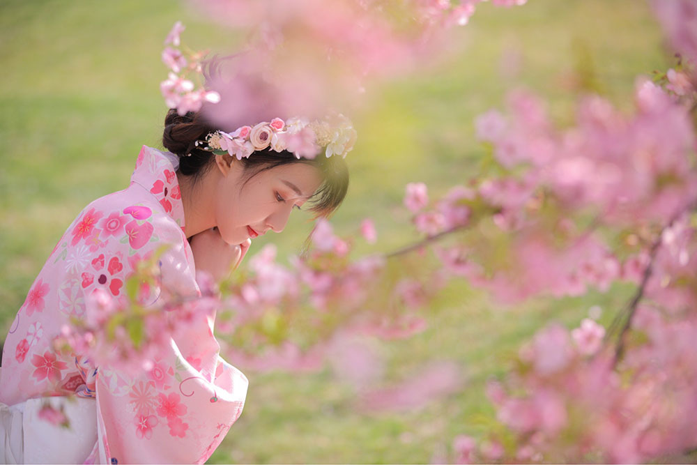 图片[2]-樱花-六色网