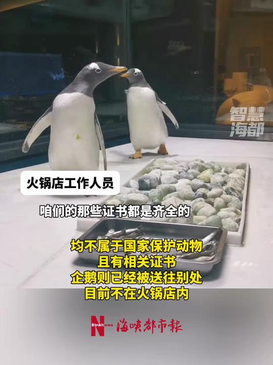 太原一火锅店养鲨鱼供人观赏,有网友质疑其饲养环境是否达标