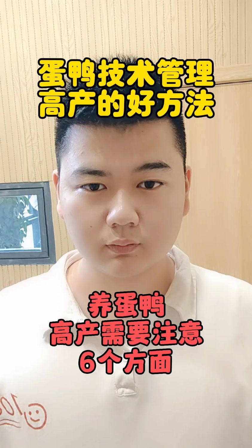 #蛋鸭怎样喂才能下蛋多蛋鸭怎么喂下蛋率高蛋鸭养殖技术与管理蛋鸭养殖技术 #养鸭 #蛋鸭