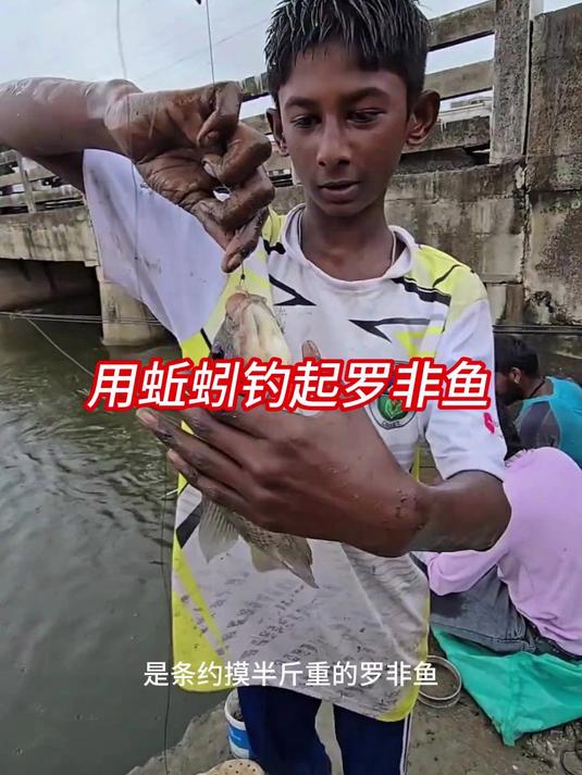 小男孩用蚯蚓做诱饵，钓起半斤重的罗非鱼