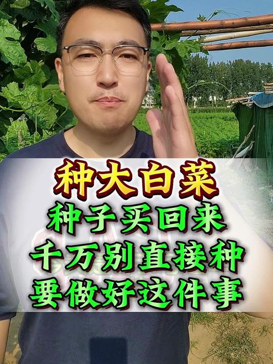 种大白菜，一定要这样做，千万不能把种子直接种下去