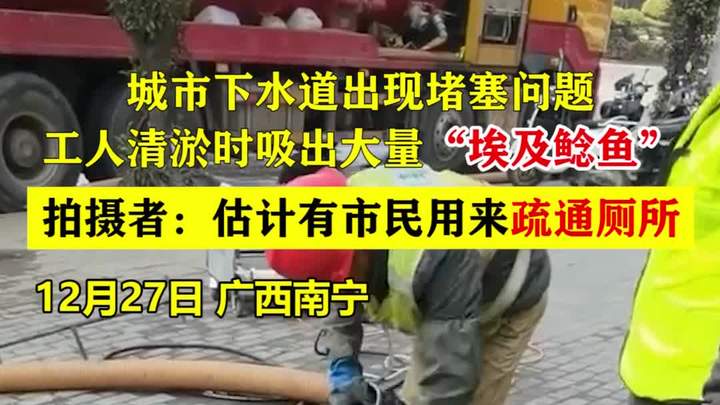 城市下水道出现堵塞问题,工人清淤时吸出大量“埃及鲶鱼”!