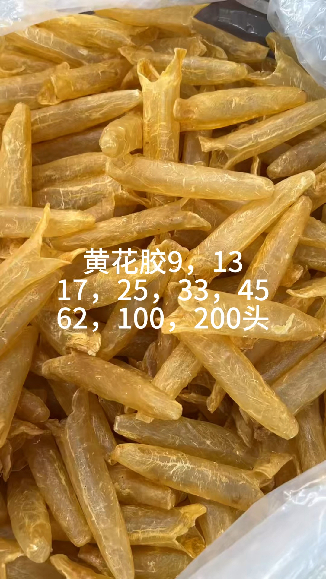 黄花胶,鲶鱼胶片,佐罗条,阴阳片条,大耳,顺风斗湖,龙须胶,安南片,精选北海母