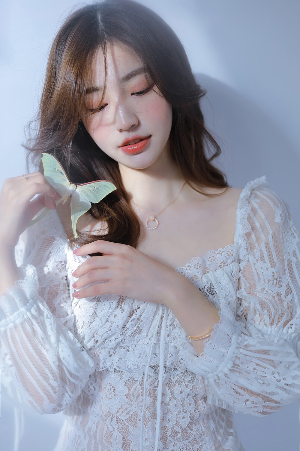 图片[14]-蝴蝶-六色网