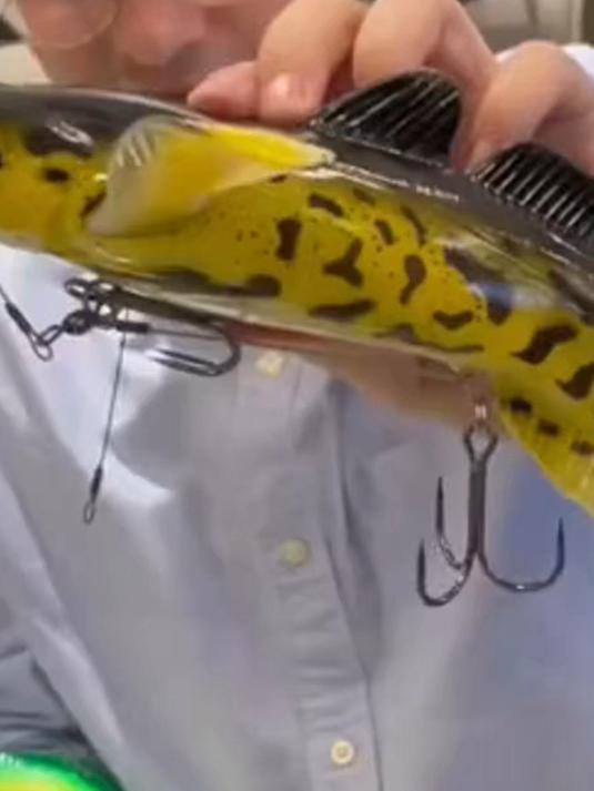 做的很逼真的假饵,放在水里像真鱼一样游动