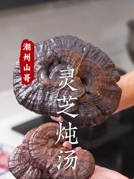 灵芝三款家常汤谱,做法简单,老人小孩都能喝