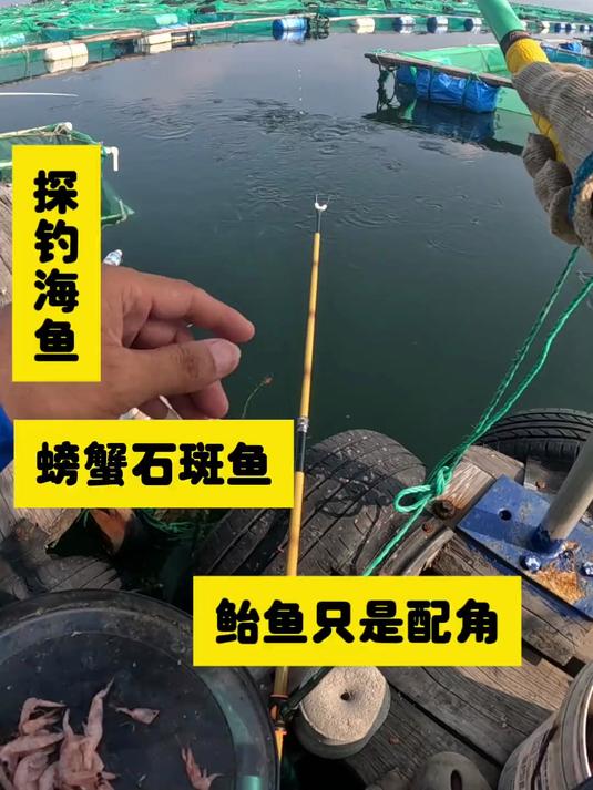 海钓的乐趣