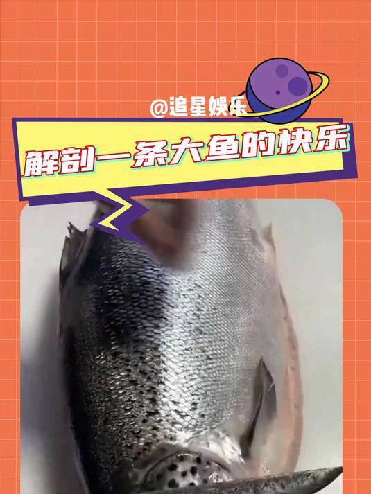 解剖鱼