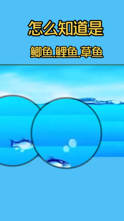 野钓中看鱼星知道底下是什么鱼