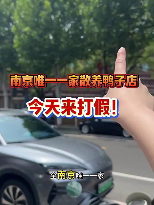 南京唯一一家散养鸭子店，今天来打假