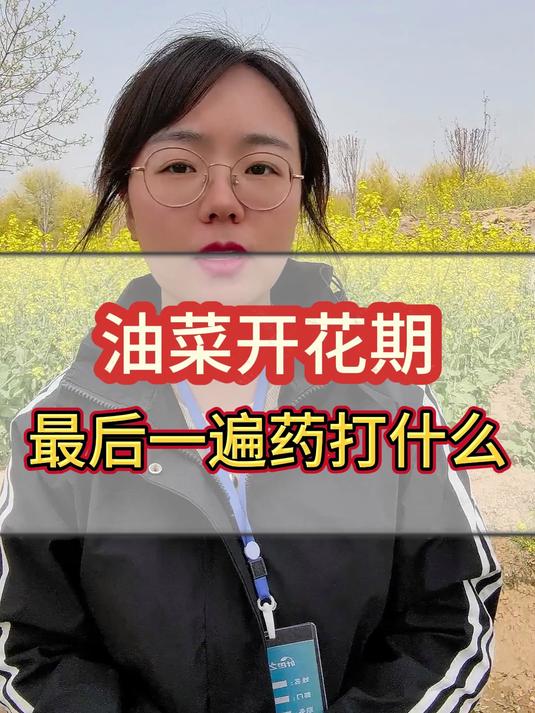 油菜开花期,最后一遍药打什么