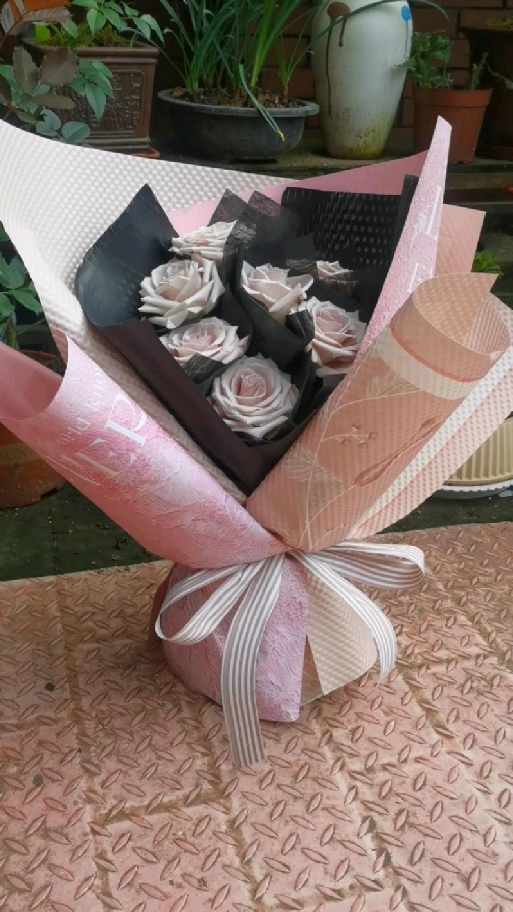 曼塔玫瑰,黑粉系列