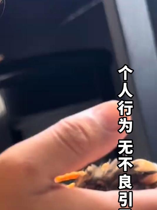 孩子养的小鸡死了,决定以后再也不吃鸡肉结果