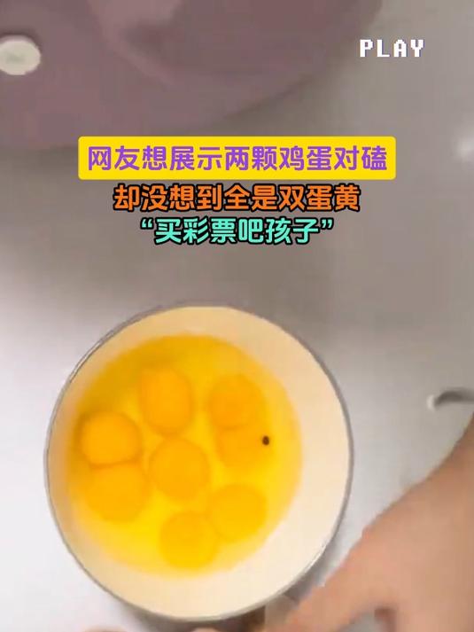 网友想展示两颗鸡蛋对磕,却没想到全是双蛋黄,“买彩票吧孩子”
