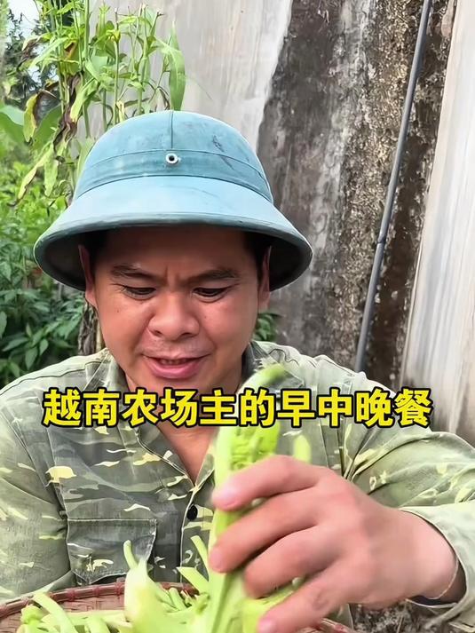 越南农场主的早中晚餐