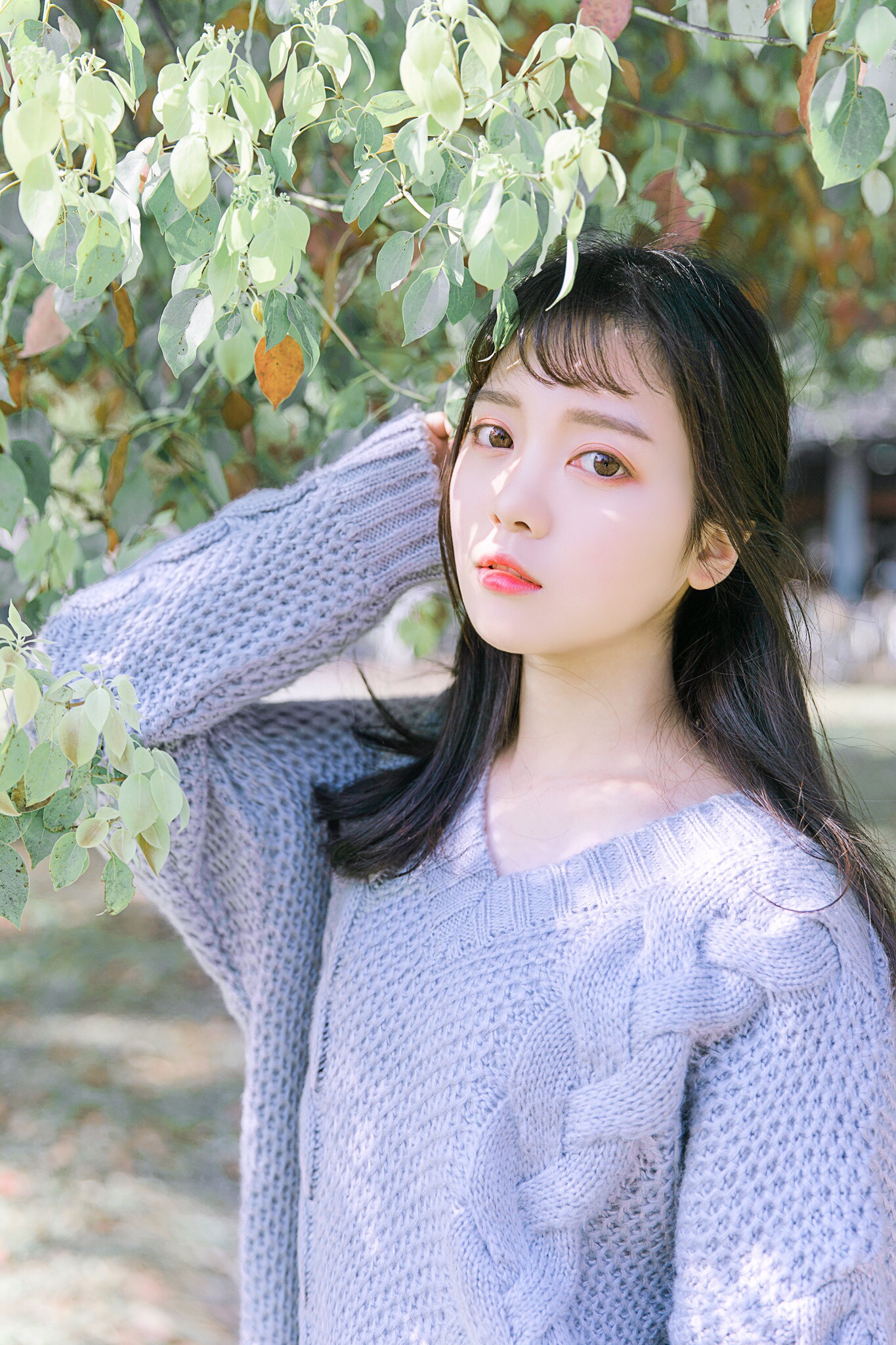 图片[30]-青柠女孩-六色网