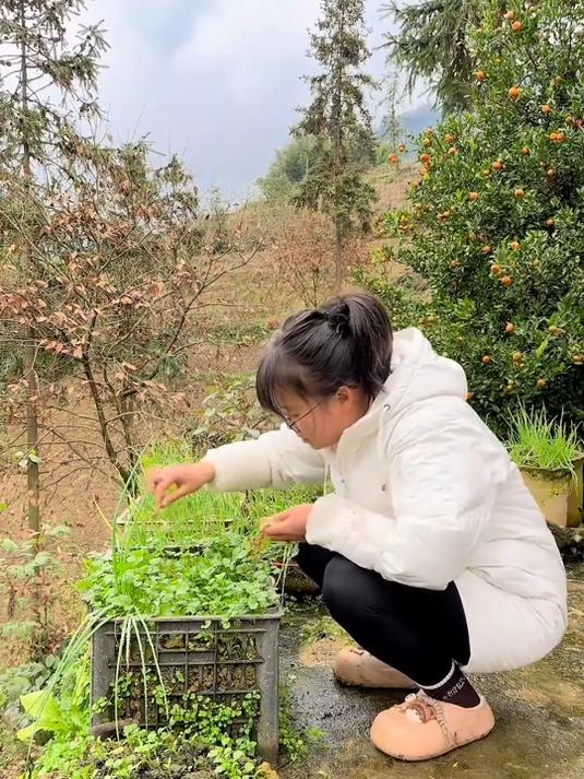 云南特色,酸菜米线 有想吃的吗?