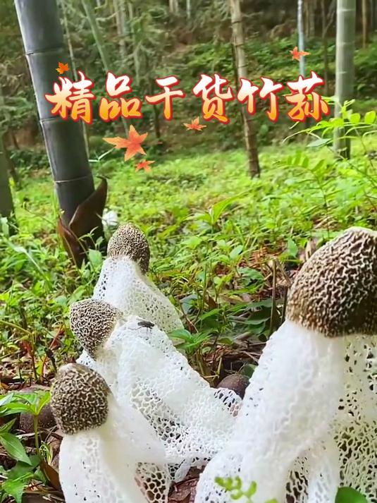 竹荪猪肚汤汤汁鲜甜营养还美味,经常炖给孩子喝