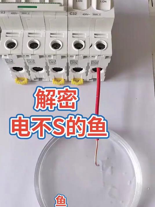 带你解密：电不S的鱼