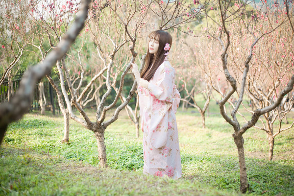 图片[14]-桃花。和服-六色网