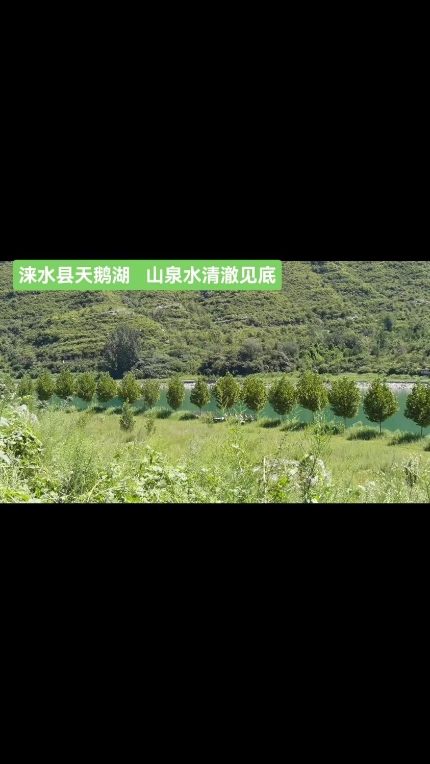 涞水县天鹅湖,山泉水清澈见底