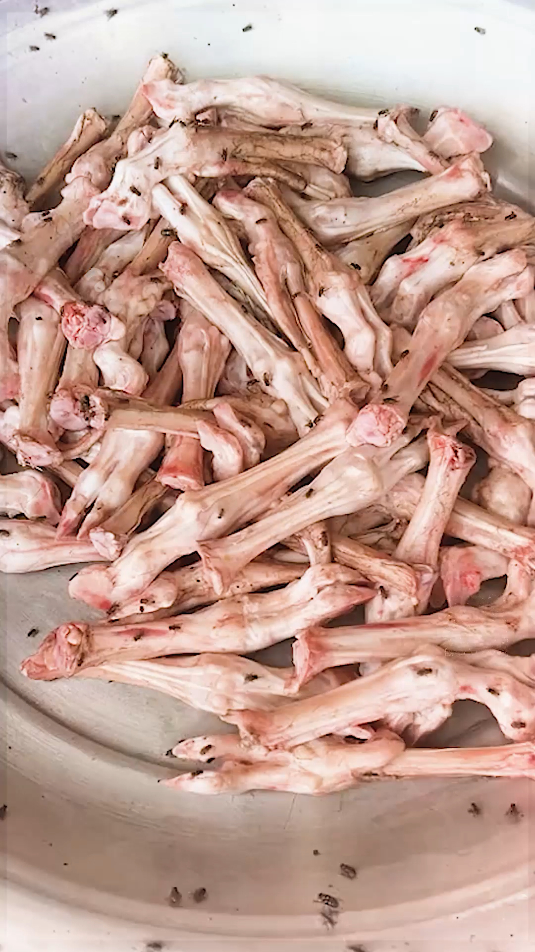 国外竟然也有鸡叉骨