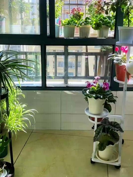 这款花架多层的设计,能同时摆放很多盆栽,而且非常稳当不会摇晃