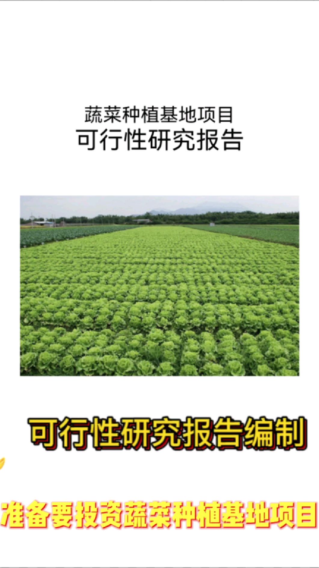 蔬菜种植基地项目可行性研究报告代写案例大纲分享参考